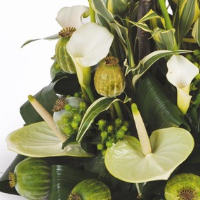 mosaïque : vue sur des callas blancs et des anthuriums verts
