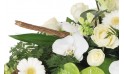 zoom sur un fleuron d'orchidée phalaenopsis blanc