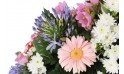 vue sur un gerberas rose et une agapanthes mauve de la raquette L'Aurore