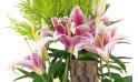 L'Agitateur Floral | vue sur les lys roses de la coupe de plantes Symphonie