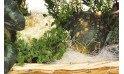 L'Agitateur Floral | vue sur les décorations de la composition de plantes Étincelle