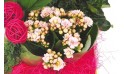 L'Agitateur Floral | vue sur un kalanchoé de la Composition de deuil blanche, rose, fuchsia Souvenir