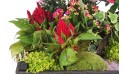L'Agitateur Floral | vue sur un ensemble floral de la Composition de plantes de deuil Le Jardin d'Olympe