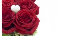 L'Agitateur Floral | zoom sur une magnifique rose rouge