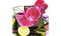 L'Agitateur Floral | Zoom sur le fleuron d'orchidée de la composition florale