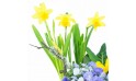 zoom sur les jonquilles de la Composition de plantes Jonquilles en Folie