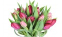 macro sur les tulipes du Bouquet rond Prunelle