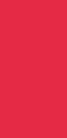 mosaïque : couleur rouge du Bouquet rond coloré Sourire