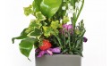 zoom sur le centre de la Composition Muguet Plaisir