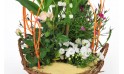 zoom sur le centre de l'Assemblage de Plantes Aubaine