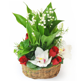 mosaïque : image de la Composition de Muguet Prestige