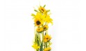 Zoom composition florale Equilibre