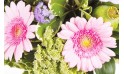 Zoom sur les gerberas rose du bouquet