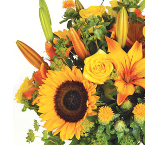 Zoom gauche bouquet de fleurs jaunes Soleil