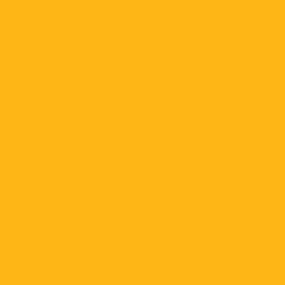 Zoom couleur bouquet de fleurs jaunes Soleil