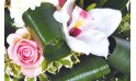 zoom sur une rose rose et fleur blanche