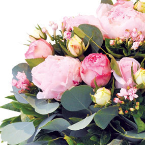 mosaïque : vue sur une pivoine du Bouquet de pivoines roses Camille