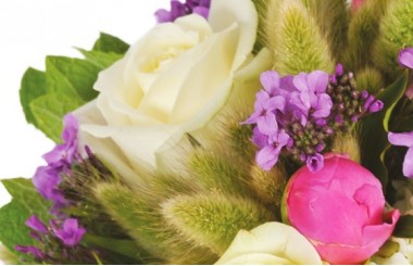 zoom sur une rose blanche du bouquet floral