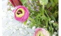 zoom bouquet de renoncules "Pimprenelle"