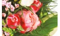 zoom sur une rose rose de la création florale