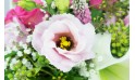 L'Agitateur Floral | macro sur un lisianthus du Bouquet rond de fleurs Lily Rose