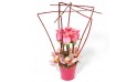 L'Agitateur Floral | Image de la composition de fleurs Lady Rose