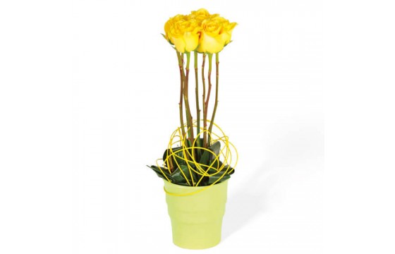 L'Agitateur Floral | image de la composition de roses jaune Lily