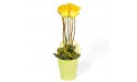 L'Agitateur Floral | image de la composition de roses jaune Lily