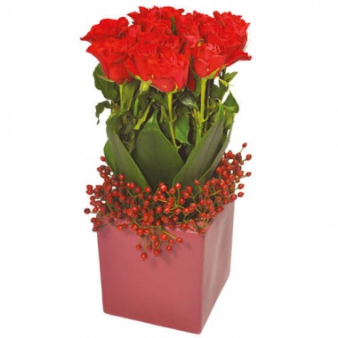 L'Agitateur Floral | image de l'arrangement floral carré de roses rouges