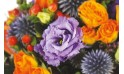 zoom sur les lisianthus mauves