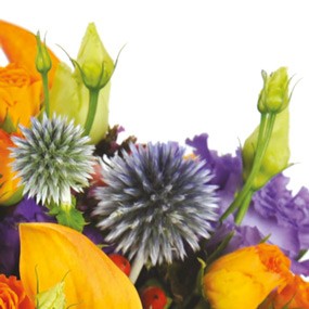 zoom sur le bouquet