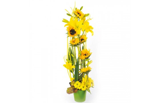 L'Agitateur Floral | Image couverture composition florale Equilibre