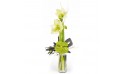 L'Agitateur Floral | image du bouquet linéaire de saison avec amaryllis Un hiver à paris