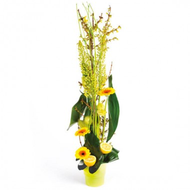L'Agitateur Floral | image de la composition de fleurs tons vert Sunlight