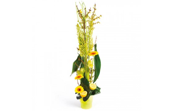 L'Agitateur Floral | image de la composition de fleurs tons vert Sunlight
