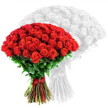 L'Agitateur Floral | image du bouquet de roses rouges courtes tiges