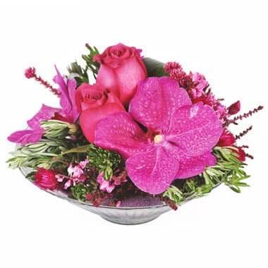 L'Agitateur Floral | image de la composition florale candy rose