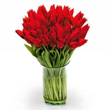 L'Agitateur Floral | image du Bouquet Rond de Tulipes Rouges