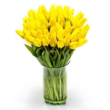 L'Agitateur Floral | Image du Bouquet de Tulipes Jaunes