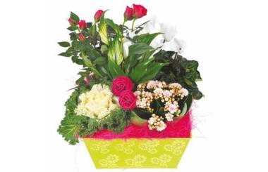 L'Agitateur Floral | image de la Composition de deuil blanche, rose, fuchsia Souvenir