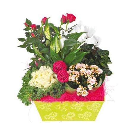 L'Agitateur Floral | image de la Composition de deuil blanche, rose, fuchsia Souvenir