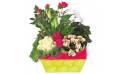 L'Agitateur Floral | image de la Composition de deuil blanche, rose, fuchsia Souvenir