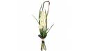 L'Agitateur Floral | image du bouquet de roses blanches Colombe