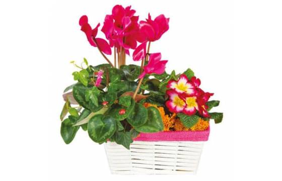 L'Agitateur Floral | image de la Composition de deuil rose-fuchsia Voyage Eternel