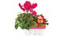 L'Agitateur Floral | image de la Composition de deuil rose-fuchsia Voyage Eternel