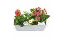 L'Agitateur Floral | image de la lardinière de plantes roses & blanches Calypso