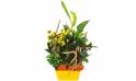 L'Agitateur Floral | image de la Composition de deuil jaune & blanche Intensité