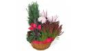 L'Agitateur Floral | image de la composition de plantes rouge et rose Le Jardin des Anges