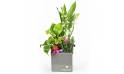 L'Agitateur Floral | image de la Composition Muguet Plaisir