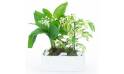 L'Agitateur Floral | image de la Composition de Muguet du nom de Brin de Détente